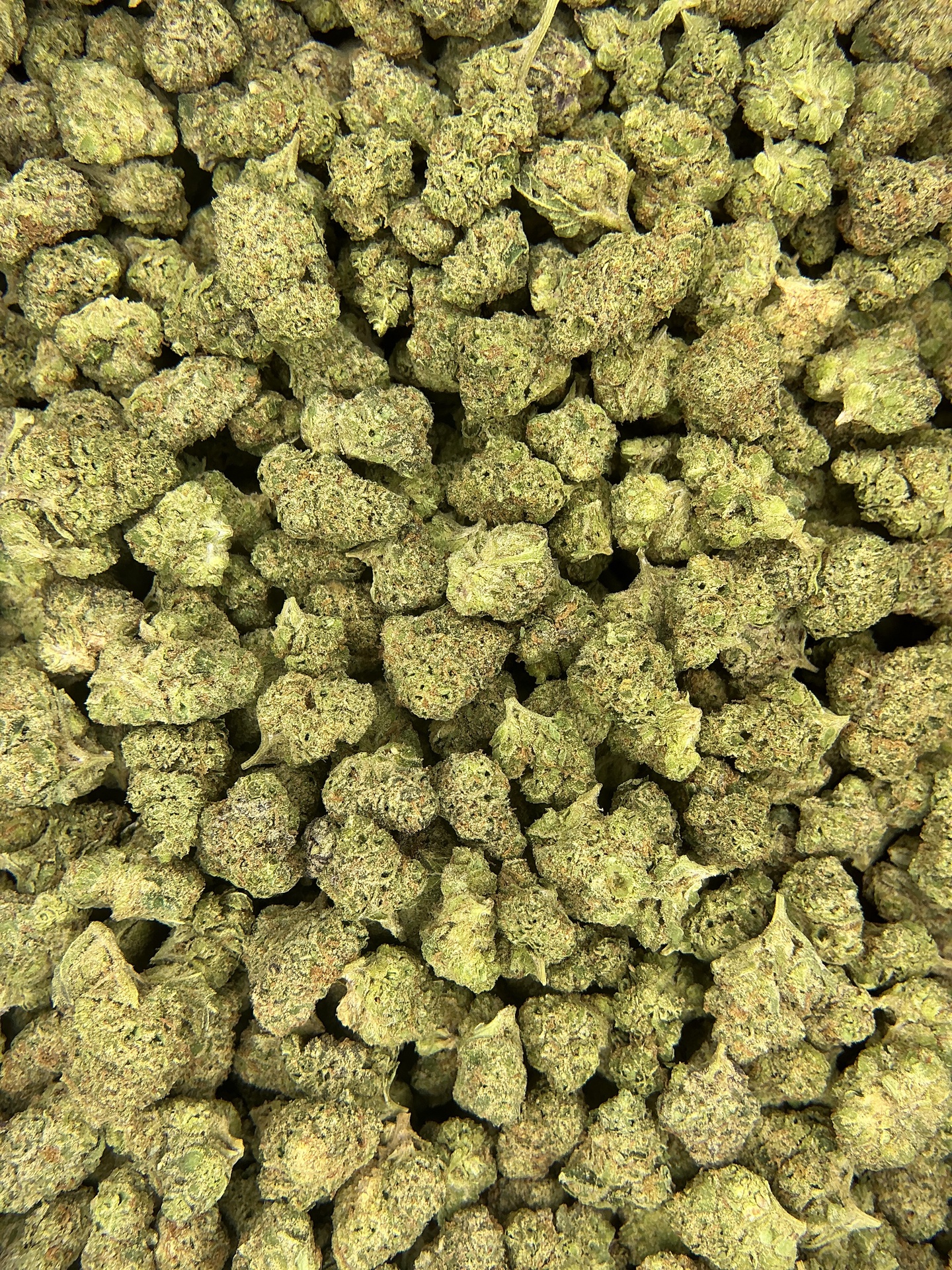 Captain Crunch Smalls THCa Flower (Indoor) / 3.5 Grams (1/8th)